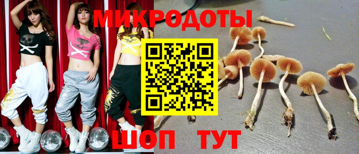 Псилоцибиновые грибы Cubensis  Галлюциногенные грибы MAGIC MUSHROOMS  Вход с VPN  Кулебаки 