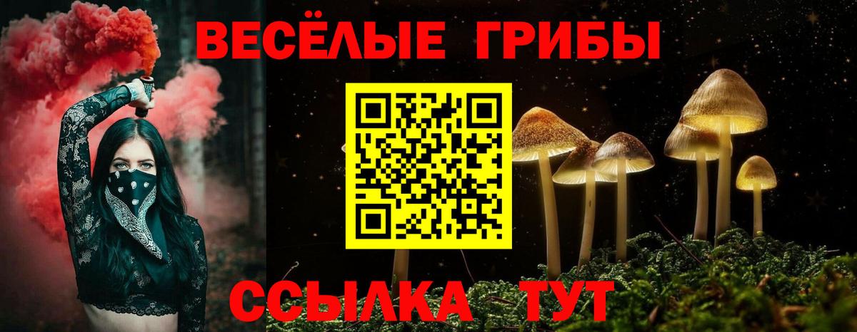 Псилоцибиновые грибы мицелий Кулебаки